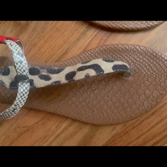 Lane Bryant leopard and red sandal - Picture 3 of 3